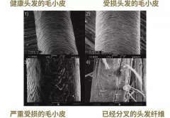 防曬霜哪個品牌好用洗發(fā)水(防曬霜哪個牌子的防曬防水果好)