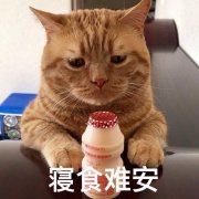 貓咪用哪個品牌的防曬霜(貓貓沐浴露哪個牌子好)