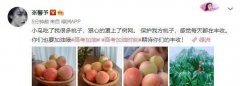 袁詠儀用哪品牌防曬霜(袁詠儀推薦的防曬霜)